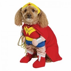 Could Your Dog Be a Sports Star